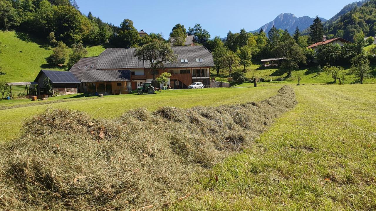 Apartments Tourist Farm Storman With Ev Ch-Station Tržič Exterior foto